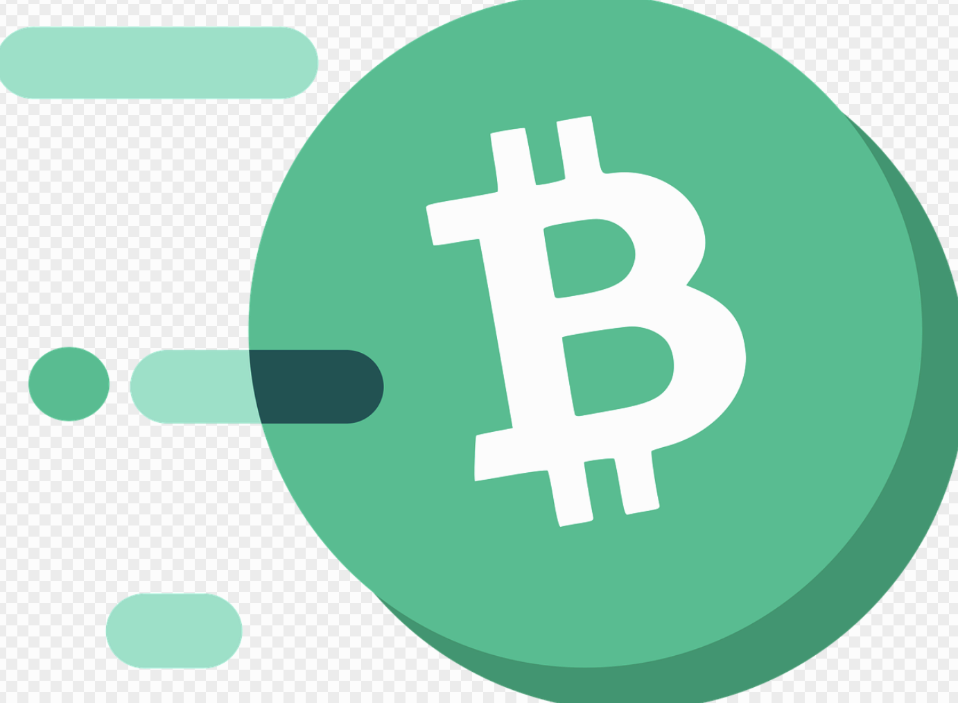 차트를 믿은 대가 — 손실을 통해 배운 현실 투자 교훈