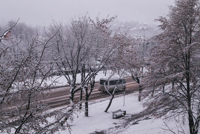 습설 건설 차이점과 폭설 피해 예방 필수 상식