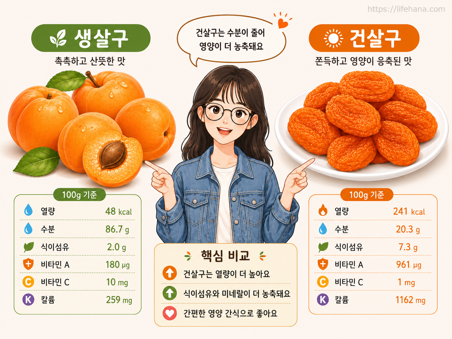 한쪽에는 신선한 생살구, 다른 한쪽에는 말린 건살구가 놓여 비교되는 이미지