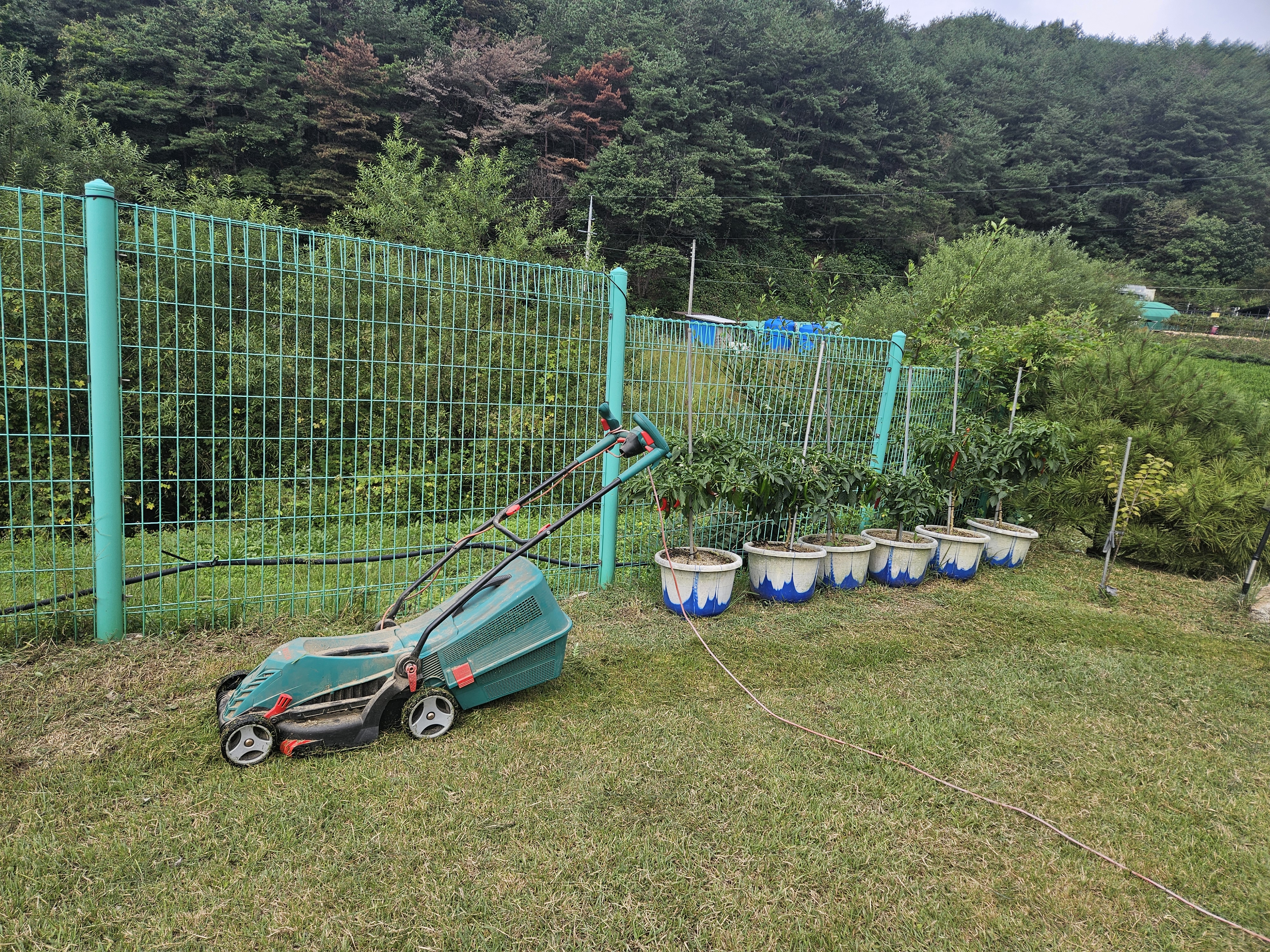 BOSCH ARM37 전기 수동 잔디깎이 사용후기 – 장단점과 관리 체크리스트 관련 사진