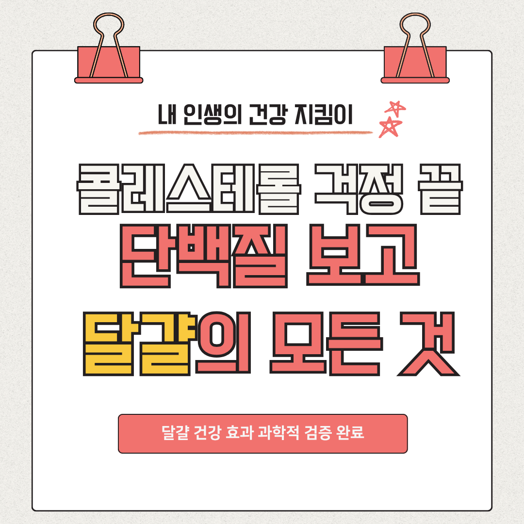 단백질 보고 달걀의 모든 것