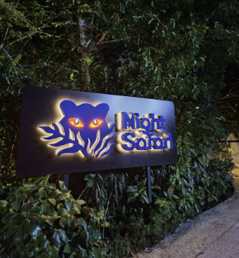 night-safari
