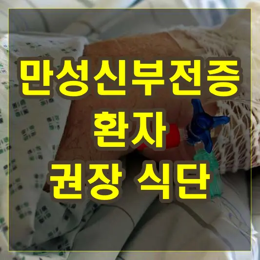 만성신부전증 환자 권장 식단