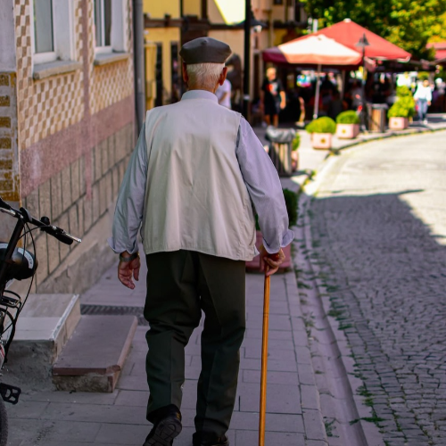 인플루엔자 독감 예방 접종