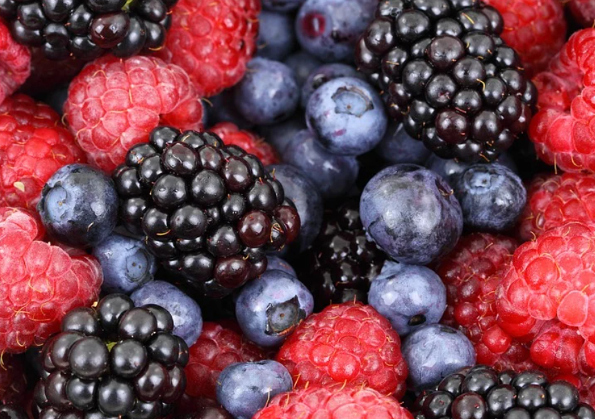 딸기나 블루베리 산딸기