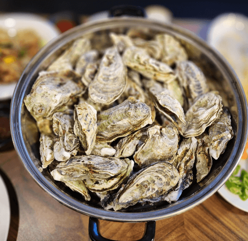 생방송투데이 화덕 굴구이 경남 거제 굴요리 코스 맛집