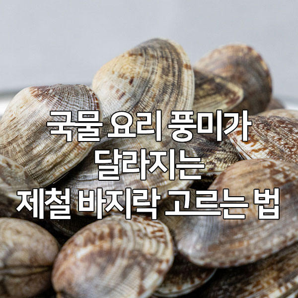 국물요리 풍미가 달라지는 제철 바지락 고르는 법
