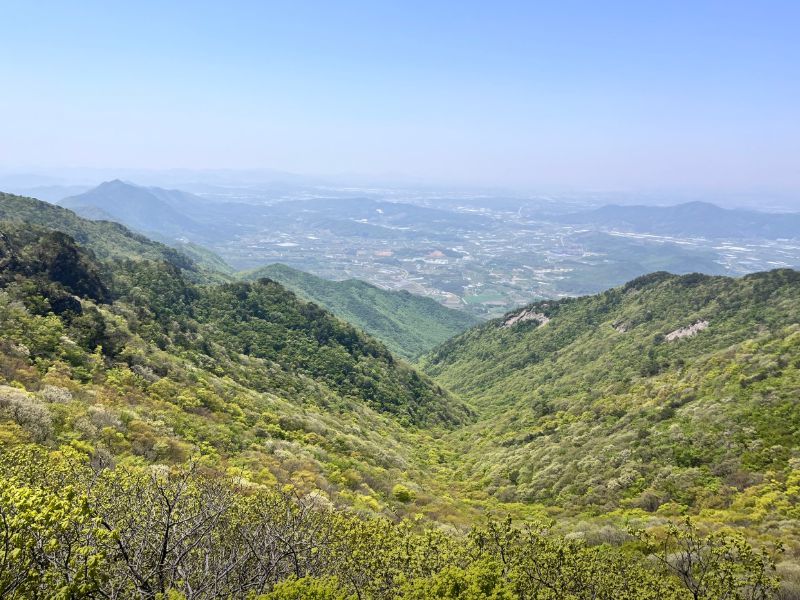 계룡산