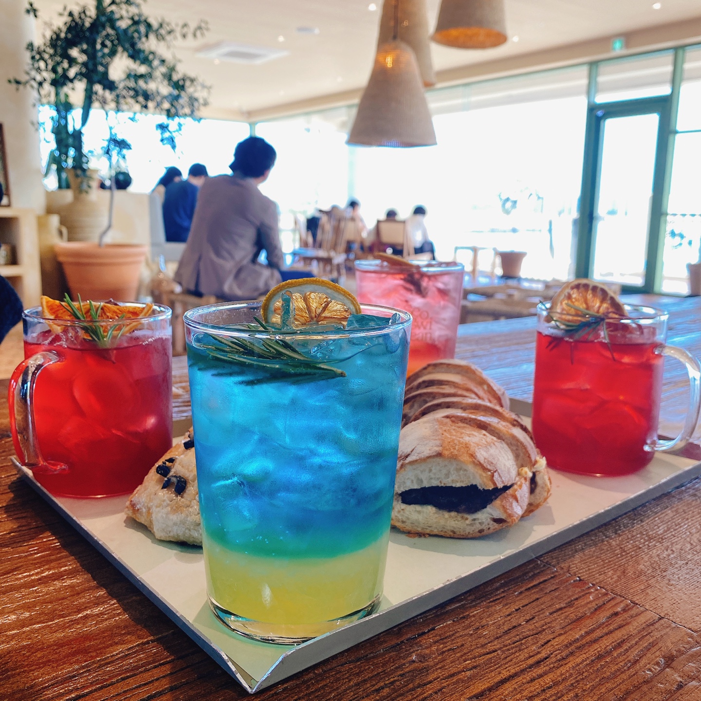 제주 성산 섭지코지 아쿠아플라넷 서귀피안 베이커리 카페