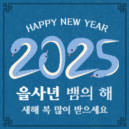 뱀의 해 새해