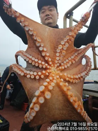 문어 삶는법 문어 요리 레시피_15