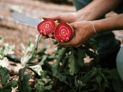 농업인 경영체등록