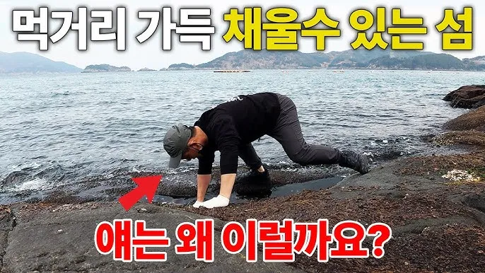 낚시 여행 경남 통영 욕지도 갈치 쭈꾸미 선상낚시 정보_2