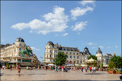 오를레앙 전투에서 잔 다르크(조안 오브 아크)에 가려진 전사들