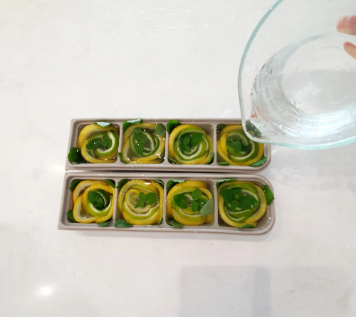 트레이에-마지막으로-물-넣기-2