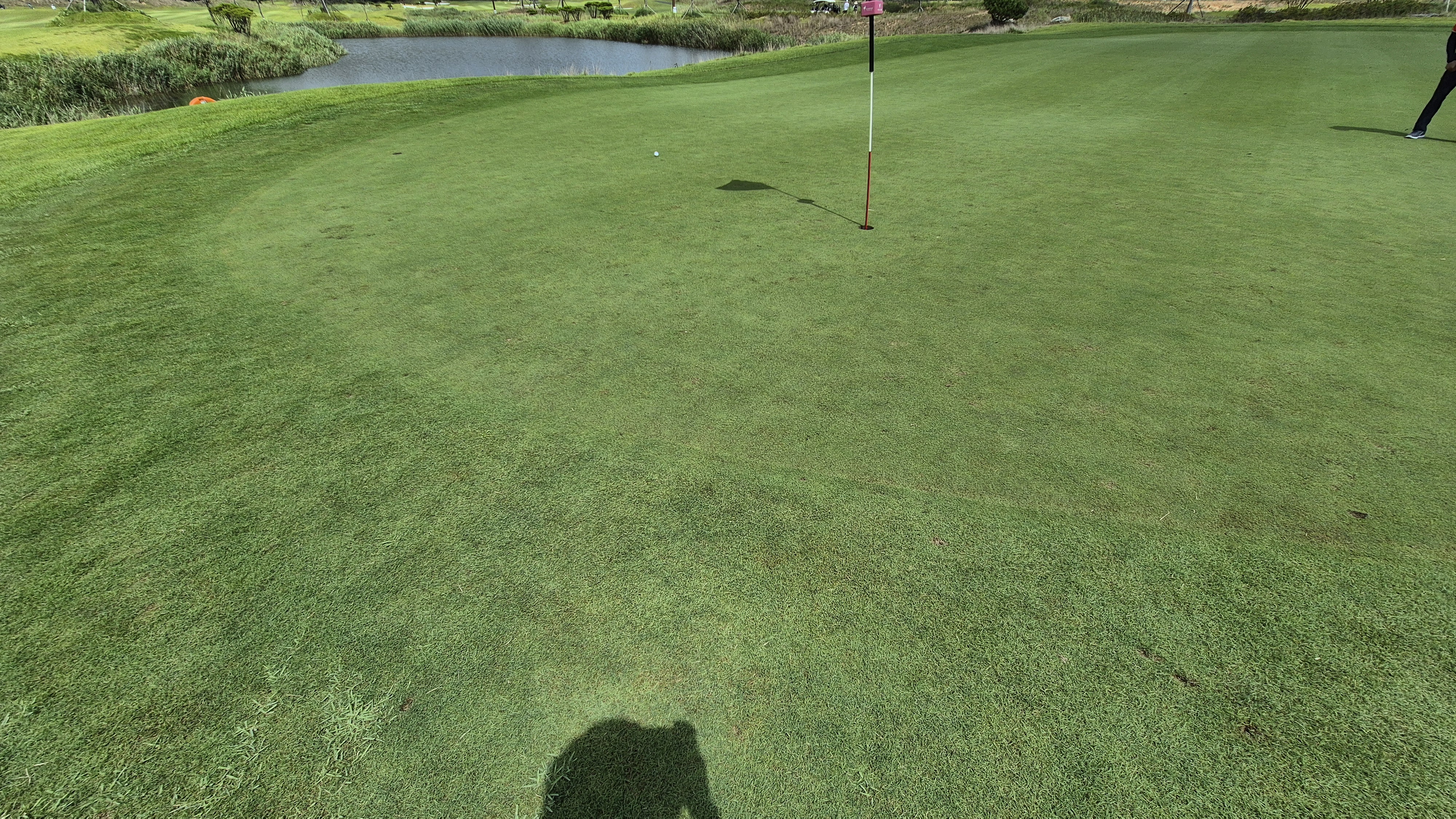 플라밍고cc 듄스-링크스 코스 라운드 후기