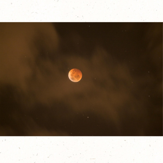 개기월식 총식에서 붉게 변한 달