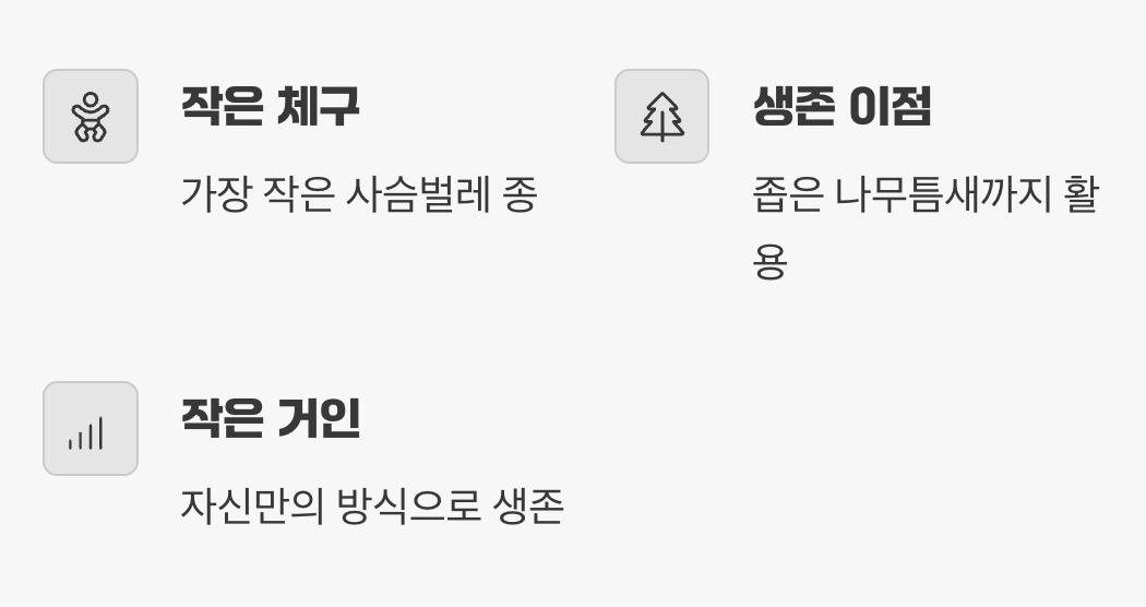 왜 '애'사슴벌레일까?
