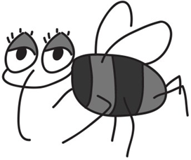 파리 한마리 그림