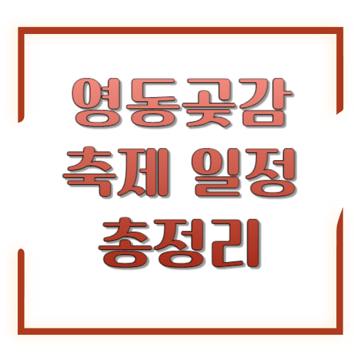 영동곶감축제 일정 2026 총정리: 날짜·장소·프로그램·주차 팁까지 한 번에