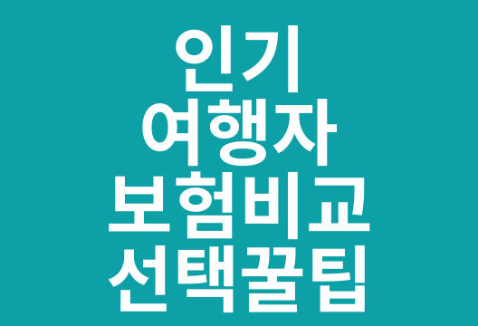 주요 단기 여행자보험 비교, 카카오 마이뱅크 삼성화재 현대해상