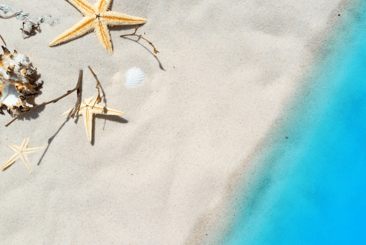 여름에 어울리는 향수 추천