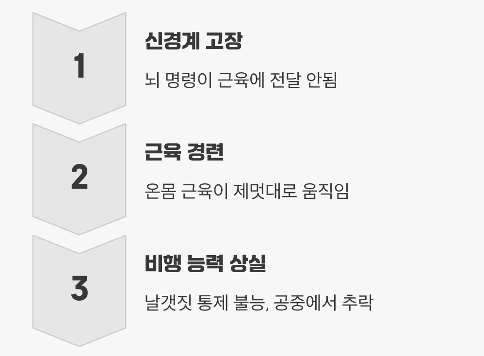 날개를 잃은 폭격기