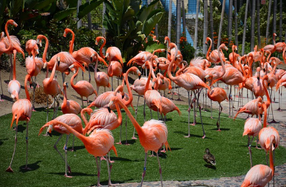 공영 vs 민간 동물원의 운영 철학 차이