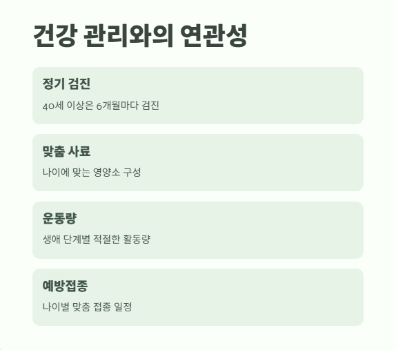 강아지 나이 계산법 완벽 정리 8