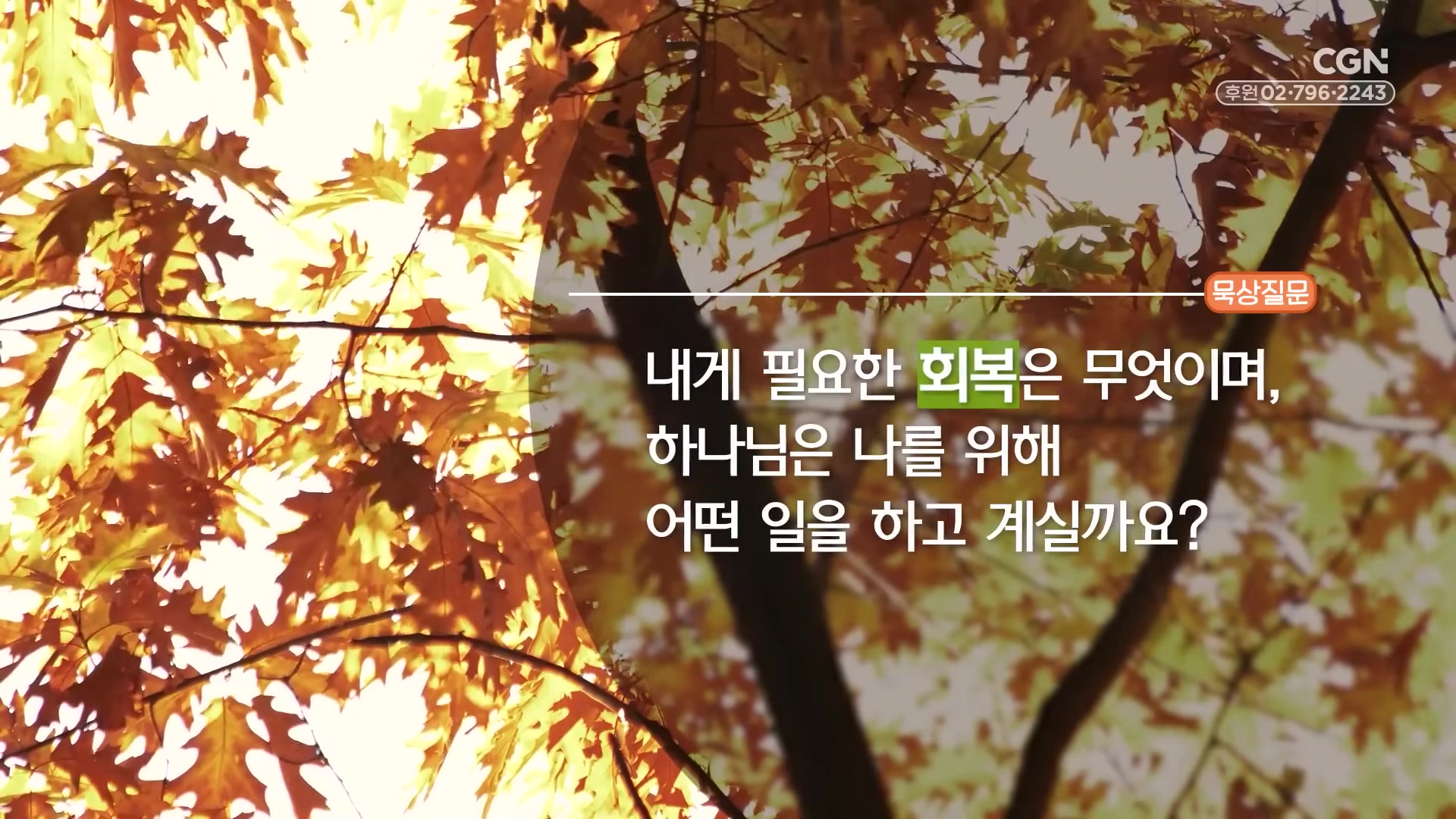내게 필요한 회복은 무엇이며, 하나님은 나를 위해 어떤 일을 하고 계실까요?