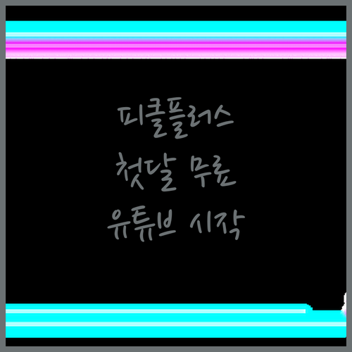 피클플러스 첫 달 무료 혜택! 유튜브..