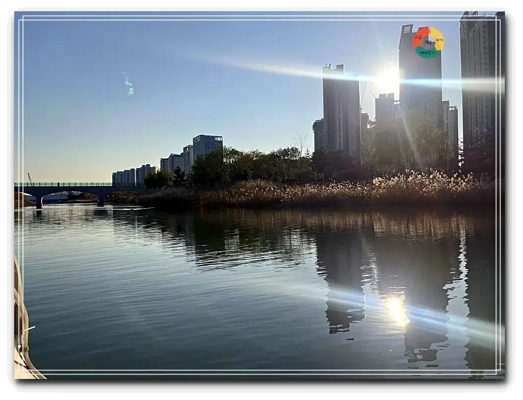 인천 청라_호수-다리-갈대-아파트