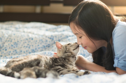 여자아이를 올려다보고 있는 고양이.