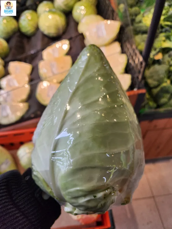 꼬깔양배추 원뿔양배추 10가지 효능 섭취방법 고르는방법 칼로리 비타민U