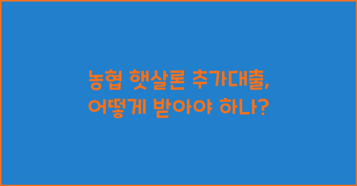 농협 햇살론 추가대출