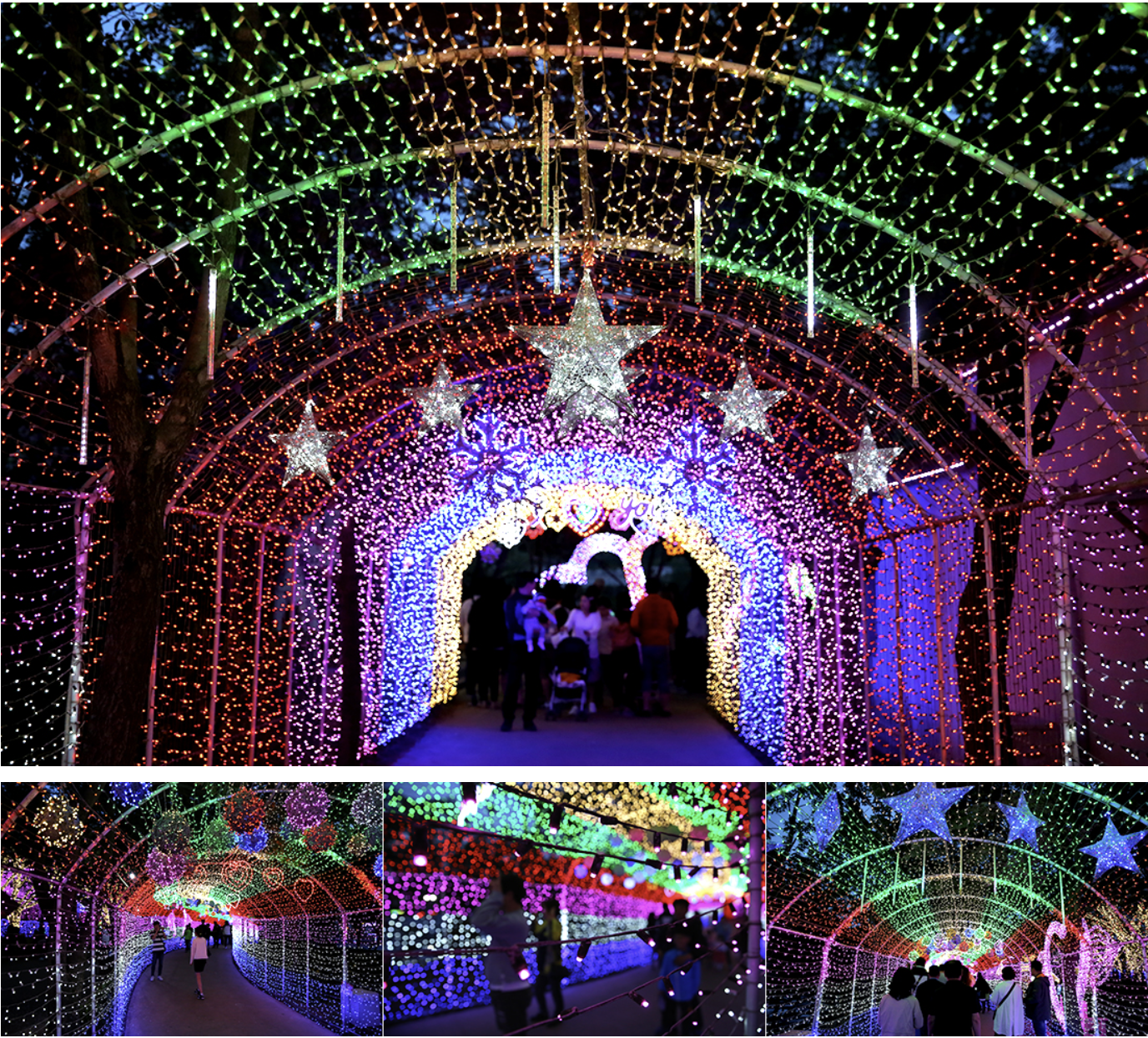 트리 포레스트 존