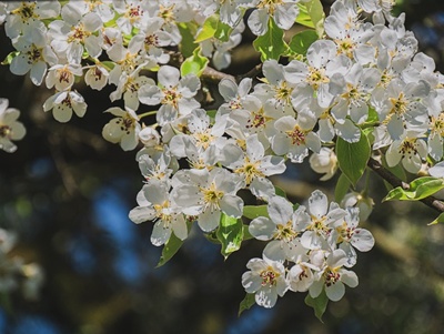 청와대 관람신청 예약 주차장 소요시간