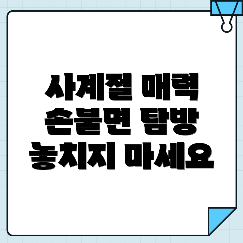 손불면명소