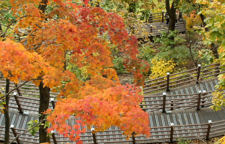 삼악산 케이블카 산책길