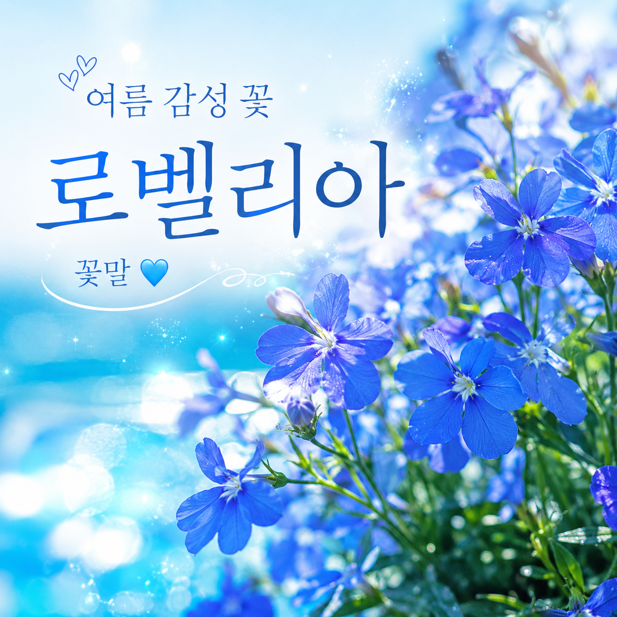 로벨리아 꽃말
