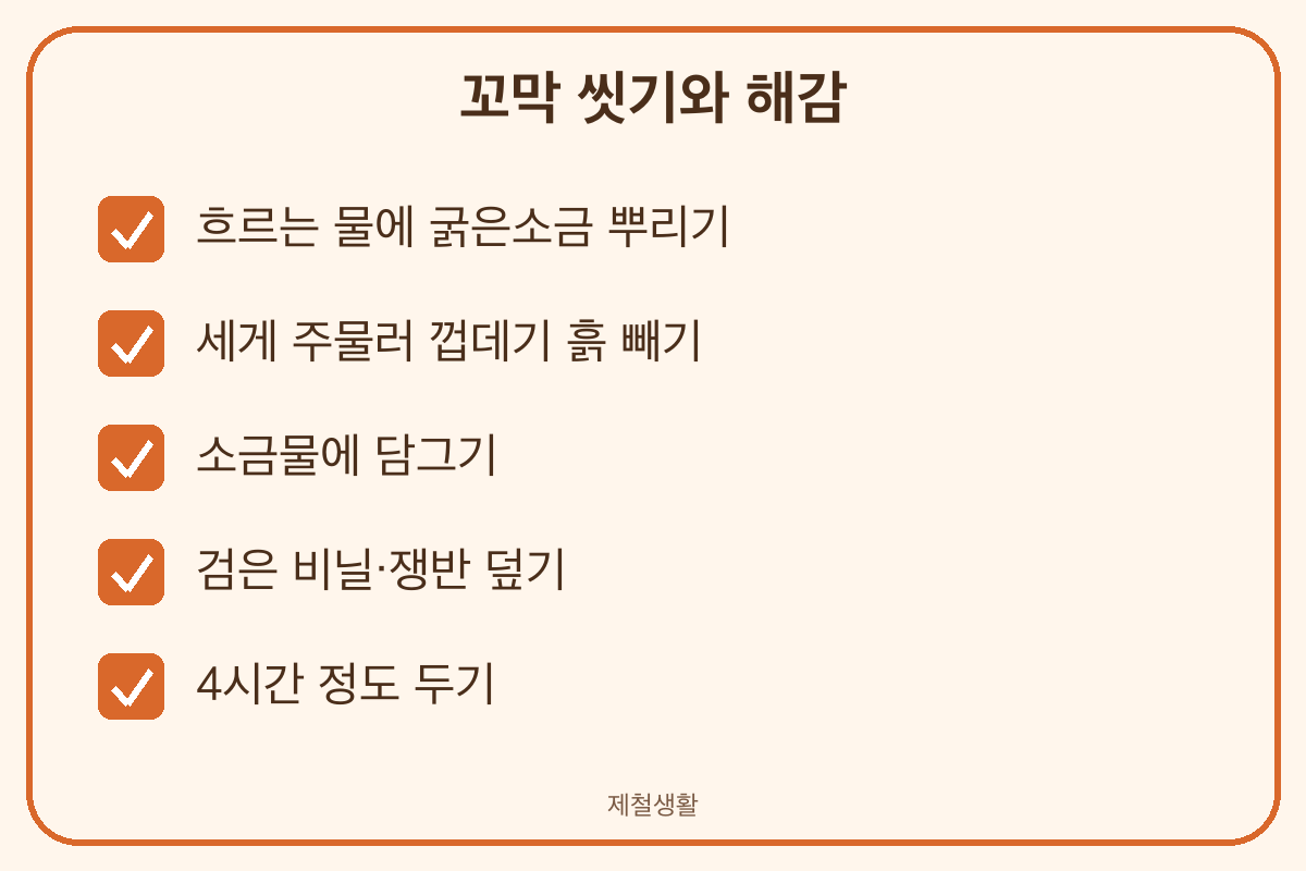꼬막 해감 방법 굵은소금 소금물 검은 비닐 4시간