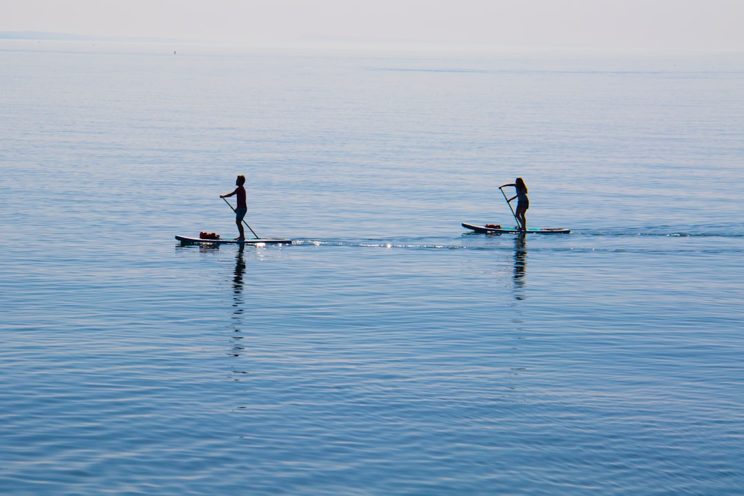 Activity