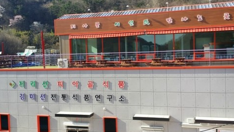 [6시 내고향] 전남 구례 사성암&amp;#44; 현천마을&amp;#44; 산수유 시목지&amp;#44; 과학원&amp;#44; 대나무숲길&amp;#44; 전통식품 정보