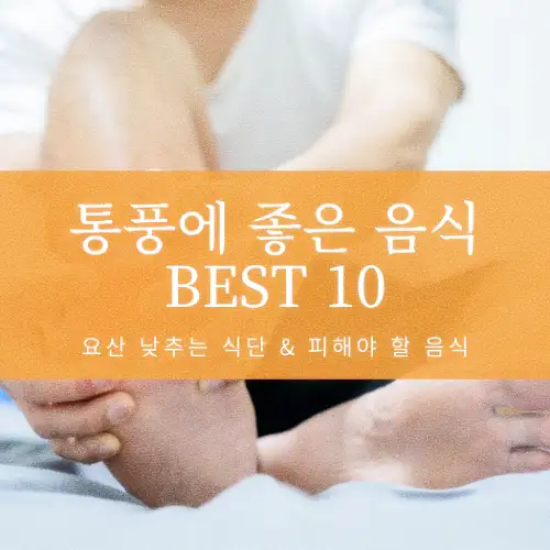 통풍에 좋은 음식 BEST 10