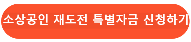 소상공인 재도전 특별 자금 신청하기