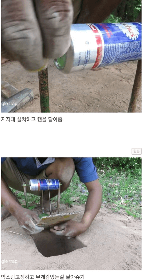 유튜버 비둘기 트랩