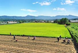 농지은행 농지 임대수탁 신청방법