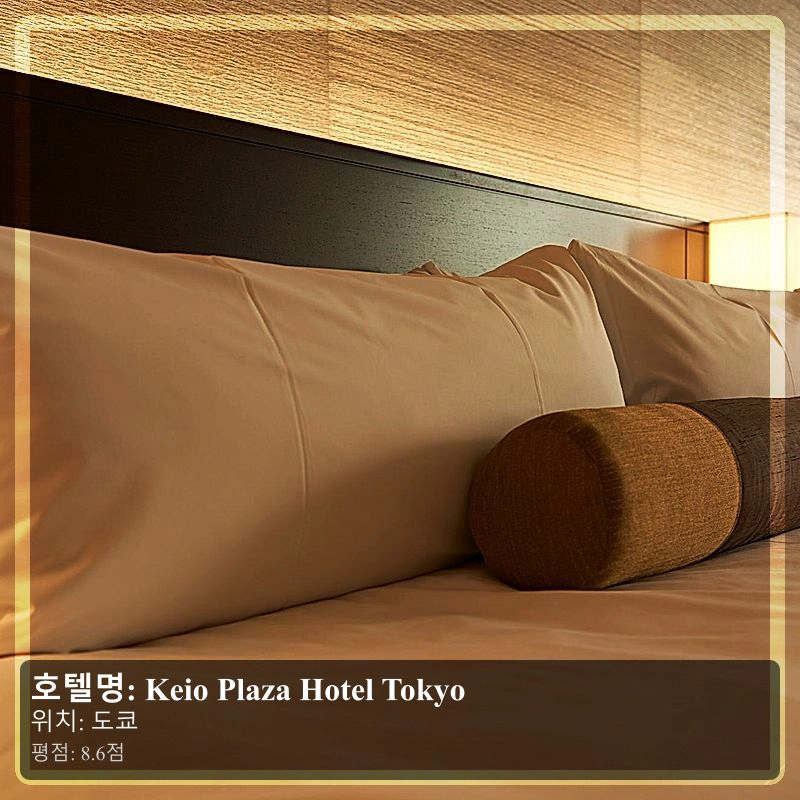 Keio Plaza Hotel Tokyo_4