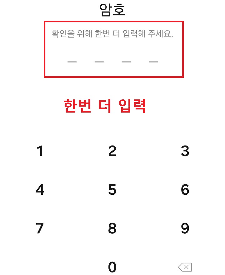 비밀번호 입력 화면 보임