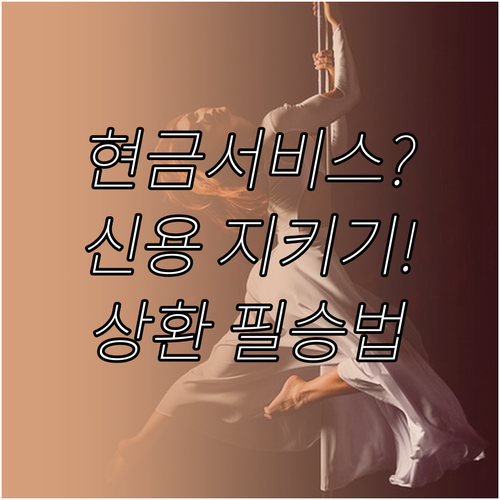 연체 피하고 신용 지키는 현금서비스 ..